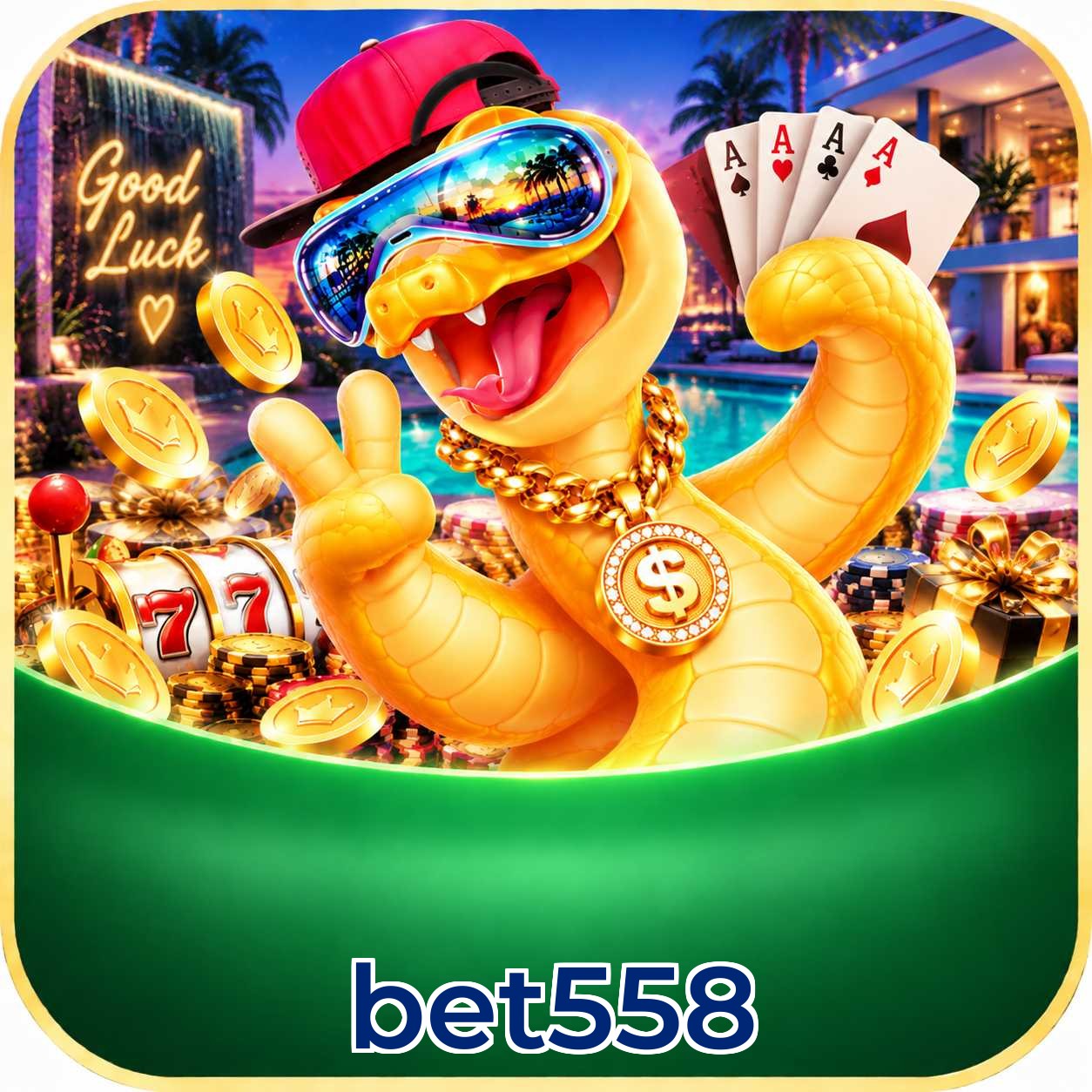 Grandes ganhos no cassino ao vivo da bet558